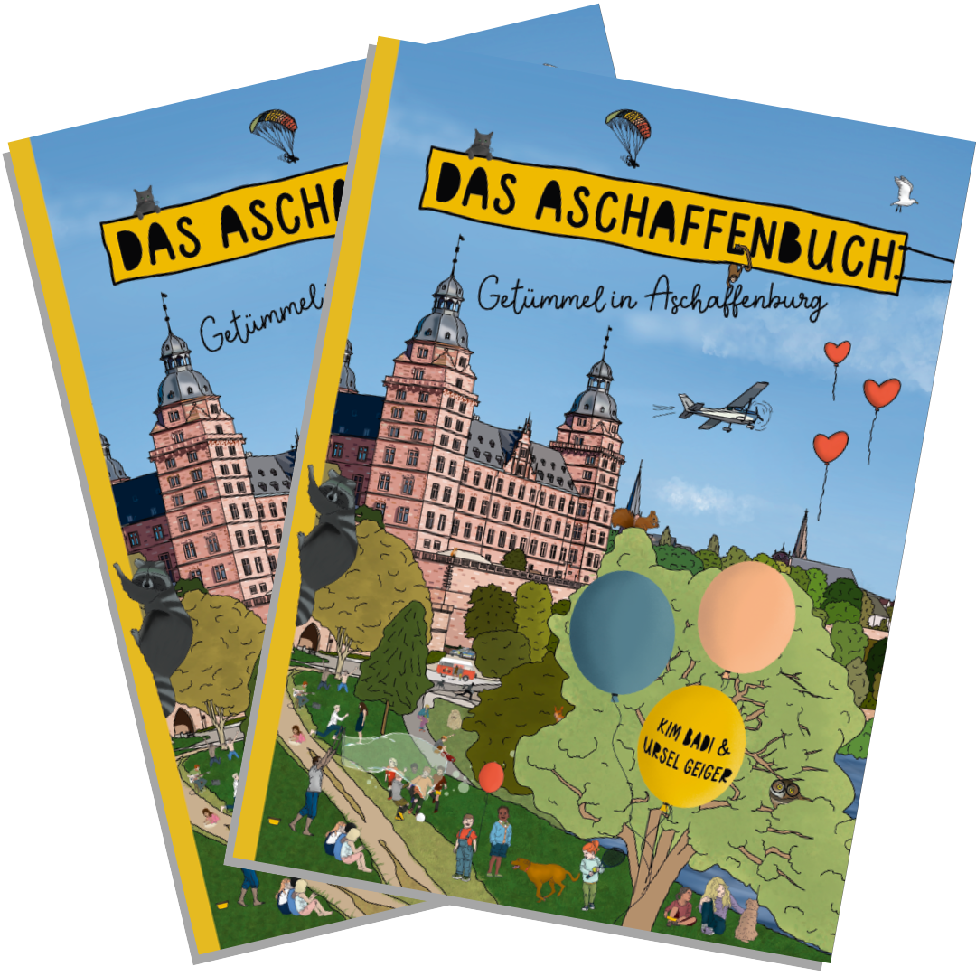 Produktbild - 2x Das Aschaffenbuch - Getümmel in Aschaffenburg